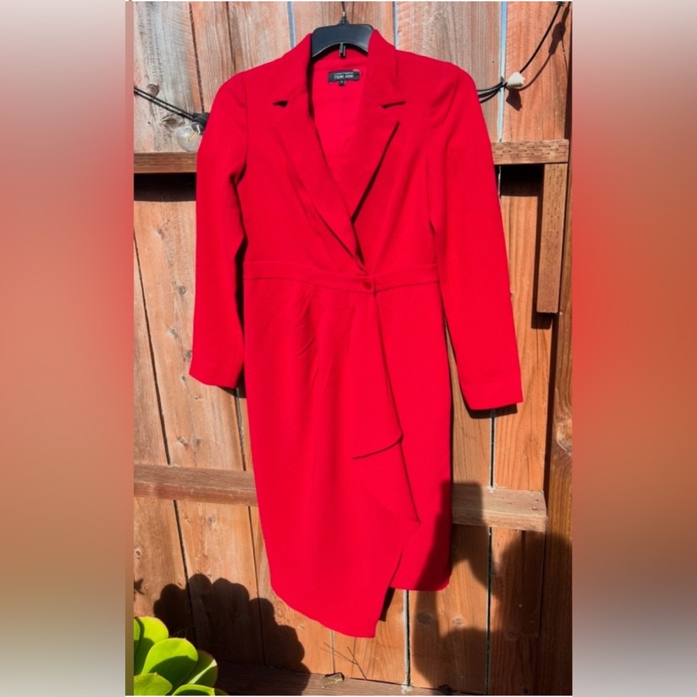 Teri Jon Vibrant Red Dress
